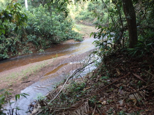 Famous Parakeet River Clay Bank.